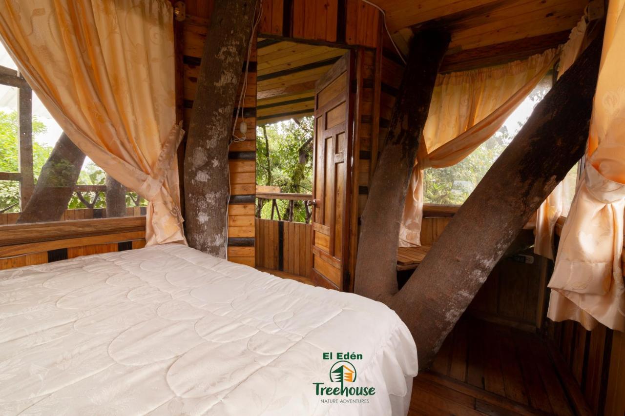 Eden Treehouse Villa Mindo Exteriör bild