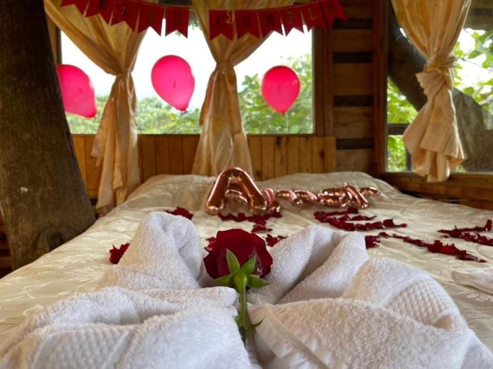 Eden Treehouse Villa Mindo Exteriör bild