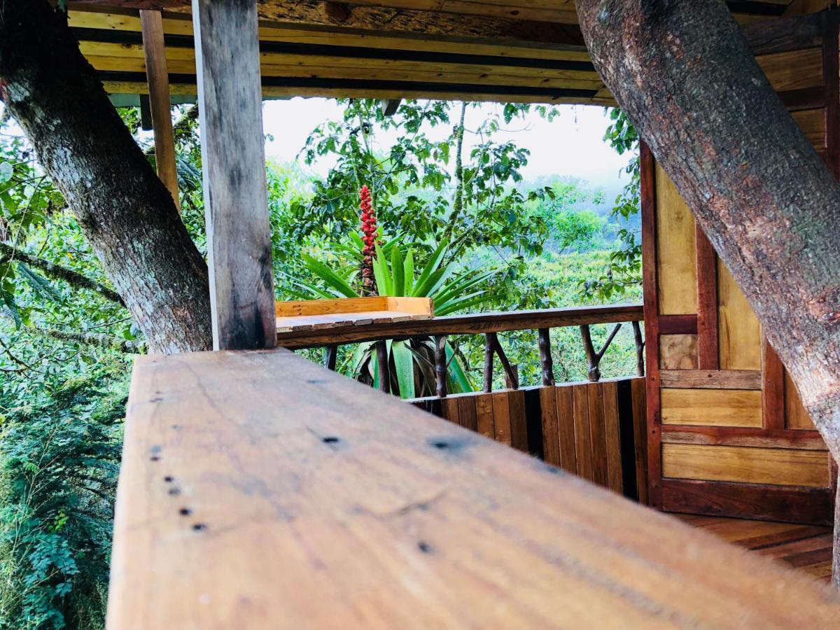 Eden Treehouse Villa Mindo Exteriör bild