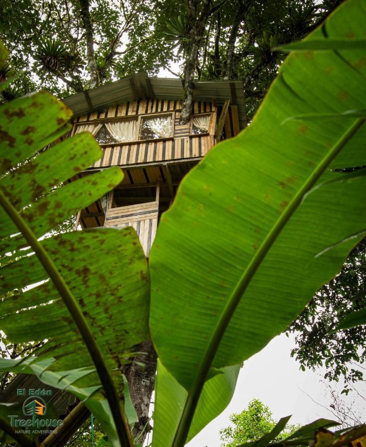 Eden Treehouse Villa Mindo Exteriör bild