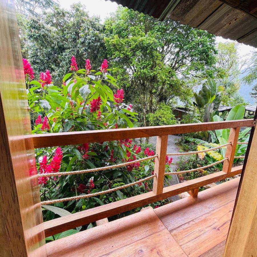 Eden Treehouse Villa Mindo Exteriör bild
