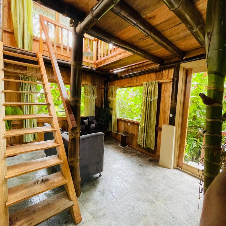 Eden Treehouse Villa Mindo Exteriör bild