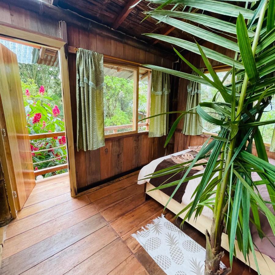 Eden Treehouse Villa Mindo Exteriör bild