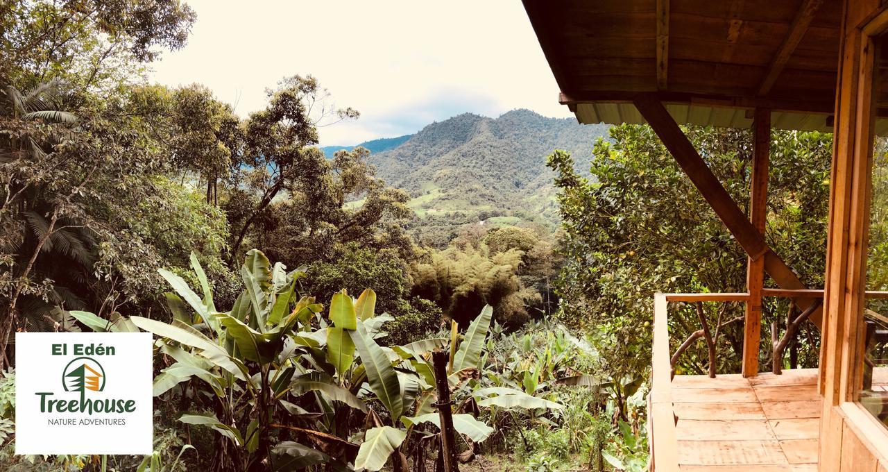 Eden Treehouse Villa Mindo Exteriör bild