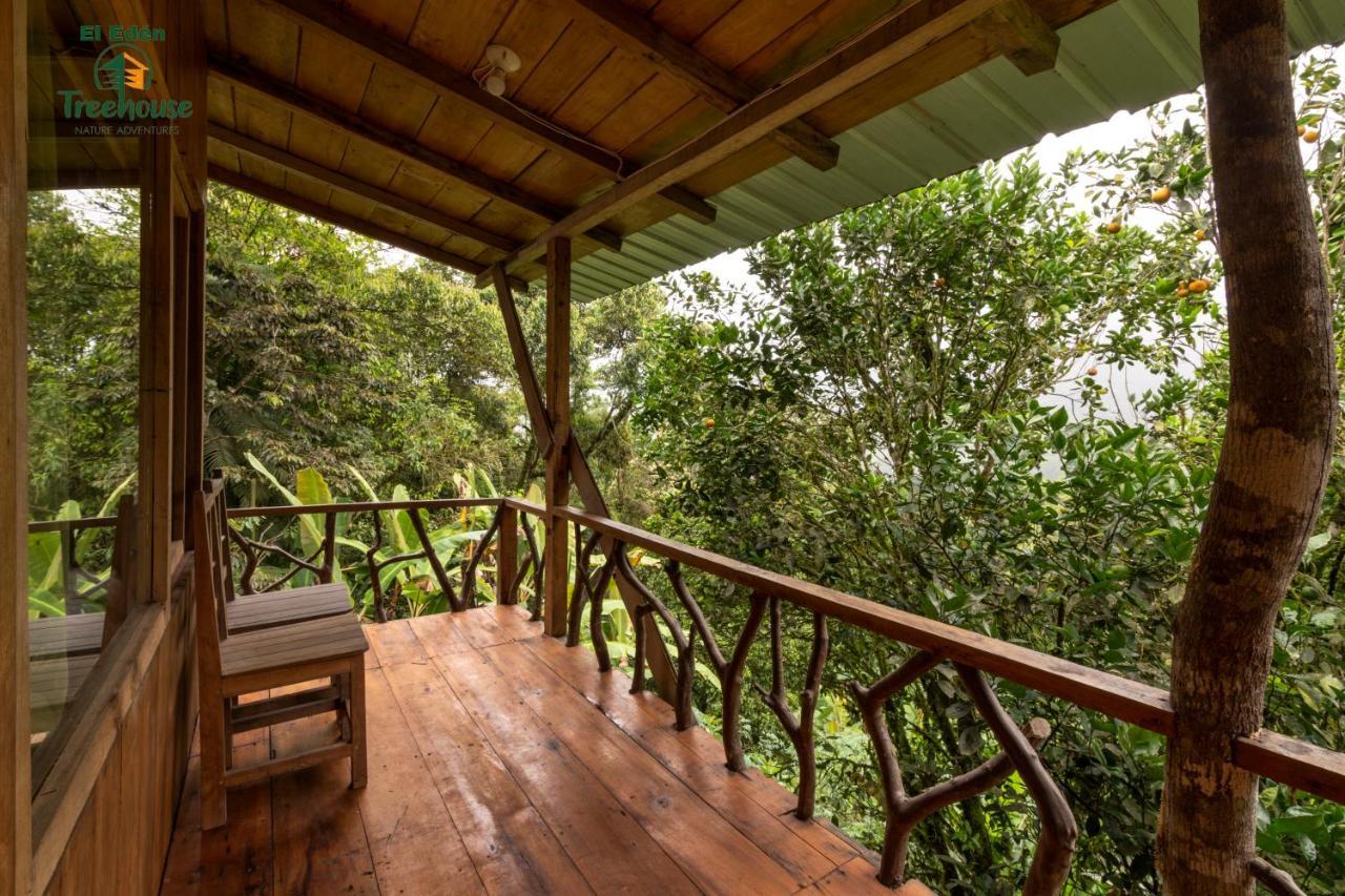 Eden Treehouse Villa Mindo Exteriör bild