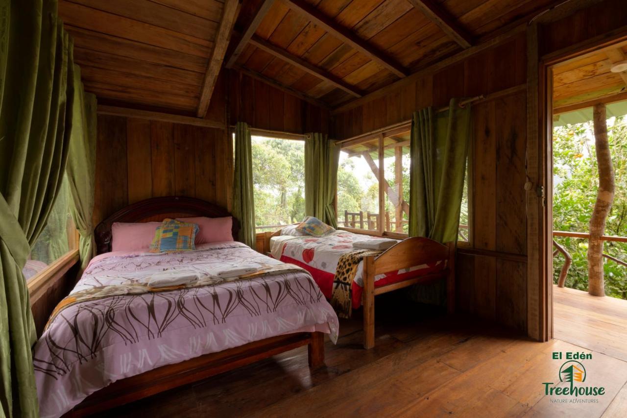 Eden Treehouse Villa Mindo Exteriör bild