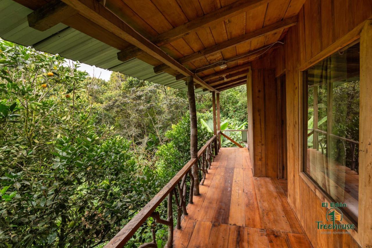 Eden Treehouse Villa Mindo Exteriör bild