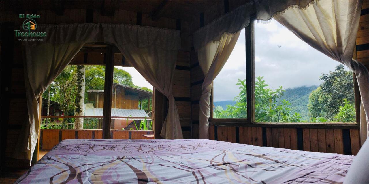 Eden Treehouse Villa Mindo Exteriör bild