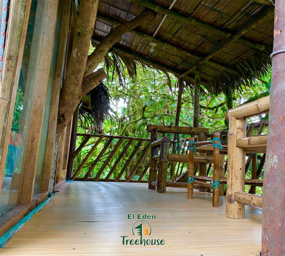 Eden Treehouse Villa Mindo Exteriör bild