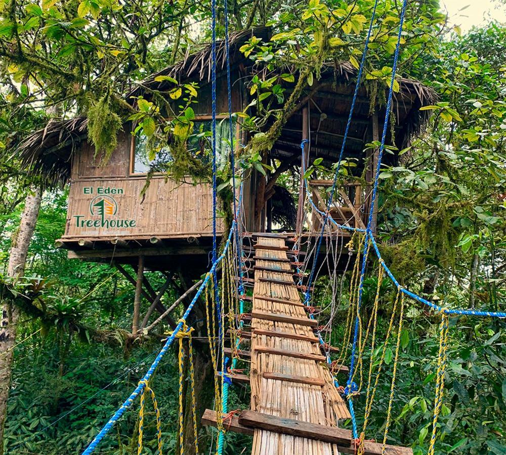 Eden Treehouse Villa Mindo Exteriör bild